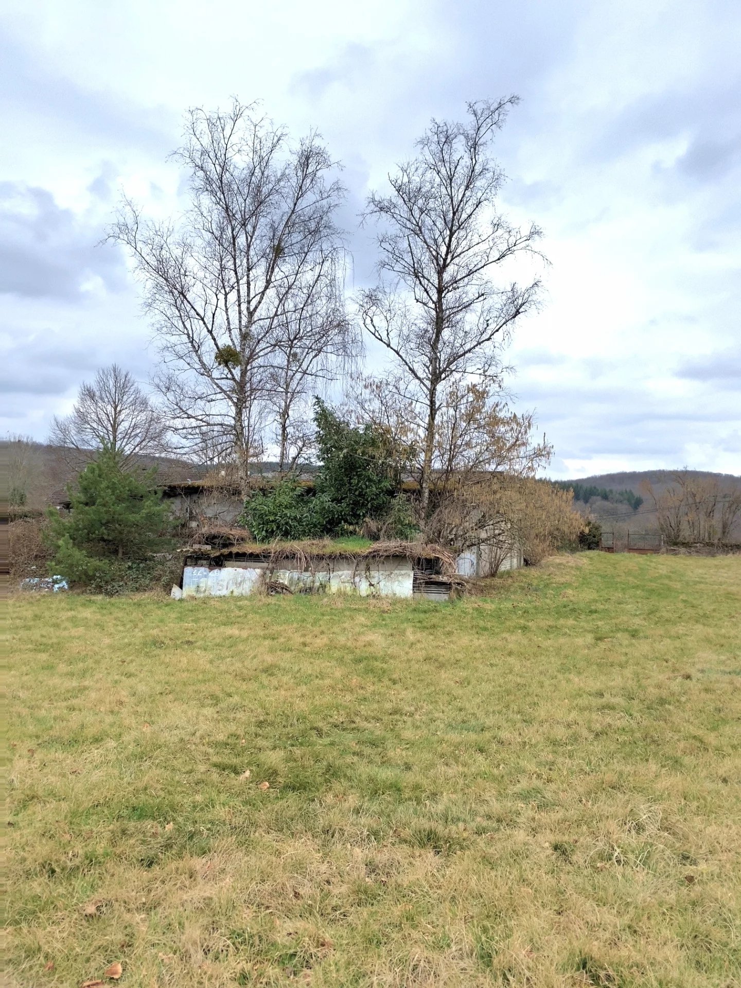 Fonds et/ou Murs Commerciaux à Saint-Germain-de-Modéon — vignette 2