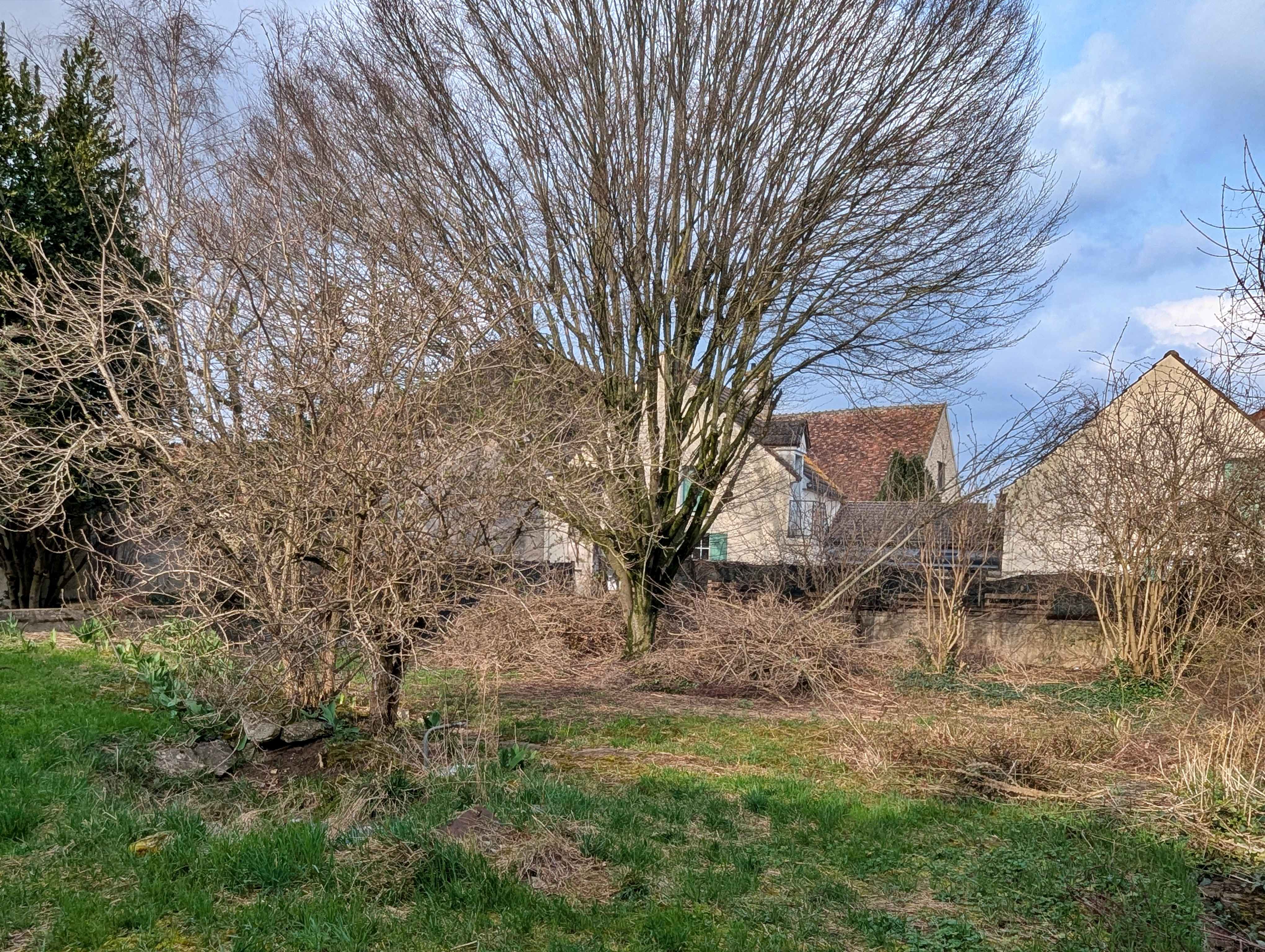 Building à Coulanges-la-Vineuse — vignette 13