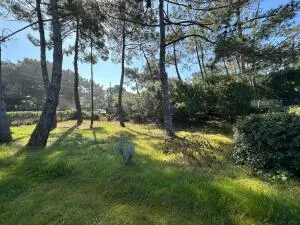 House à Lège-Cap-Ferret — vignette 12