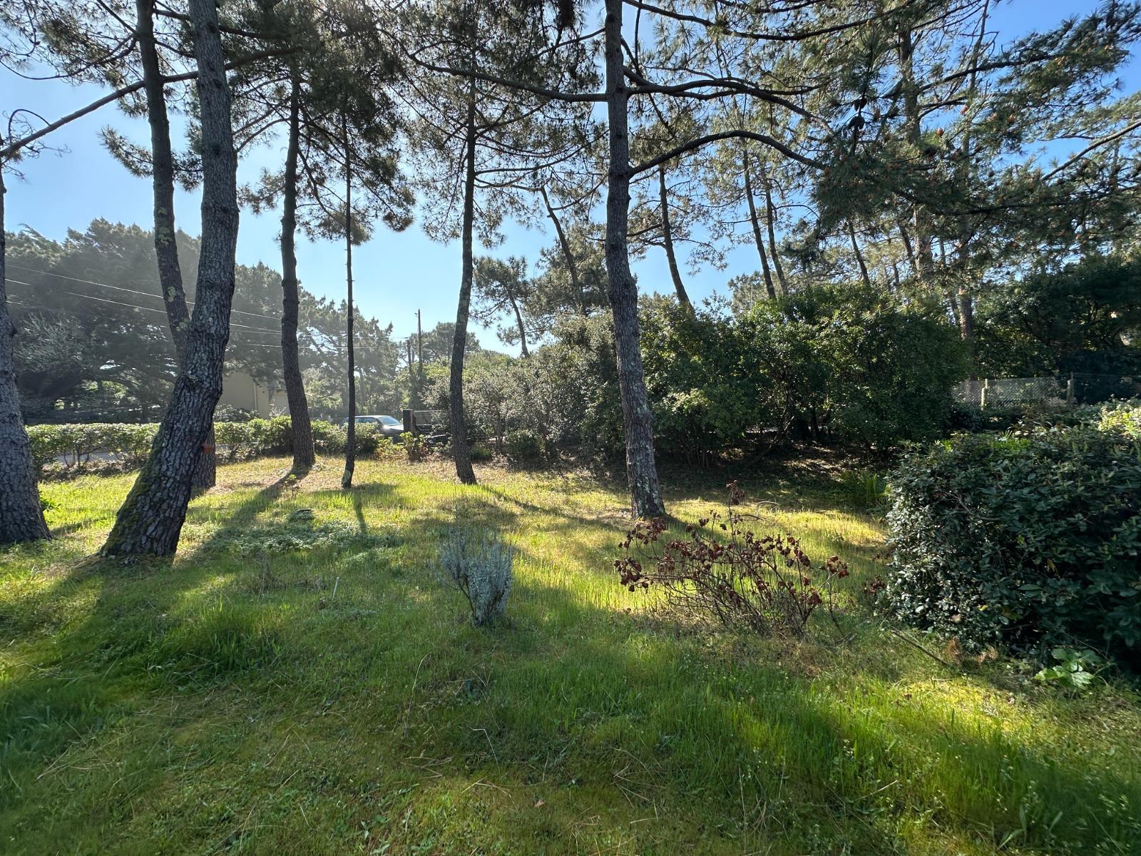 House à Lège-Cap-Ferret — vignette 12