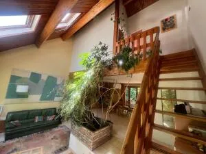 House à Villebon-sur-Yvette — vignette 17