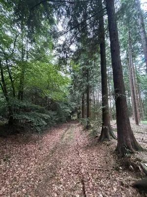 Leisure Land / Woods / Pond à Le Ménil-de-Briouze — vignette 8
