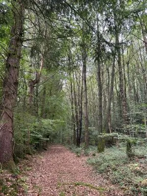 Leisure Land / Woods / Pond à Le Ménil-de-Briouze — vignette 11