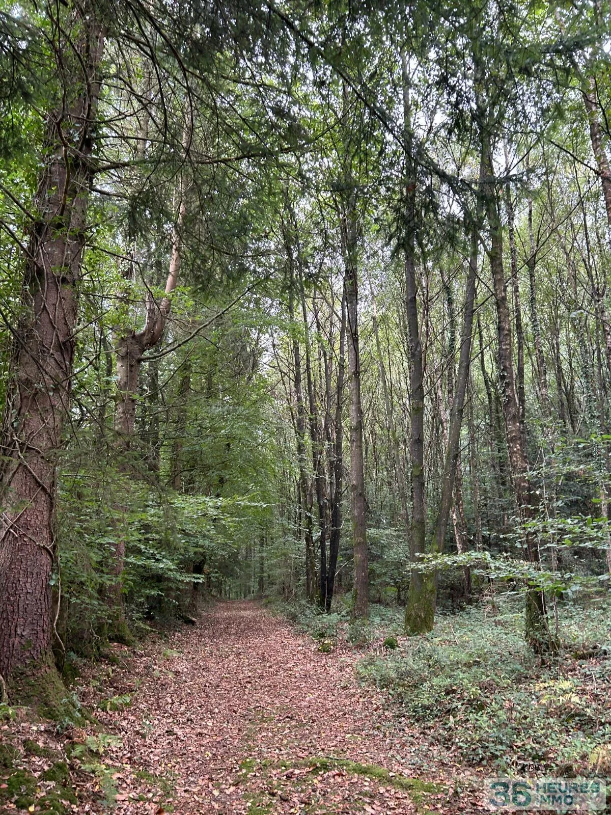 Leisure Land / Woods / Pond à Le Ménil-de-Briouze — vignette 11