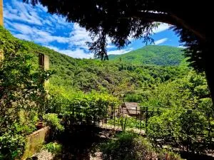 House à Val-d'Aigoual — vignette 9
