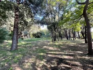 Estate à Vitrolles — vignette 5