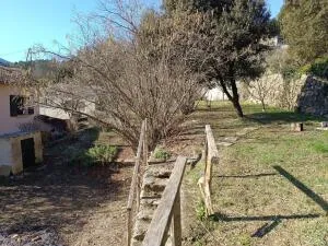 House à Saint-Jean-de-Valériscle — vignette 6