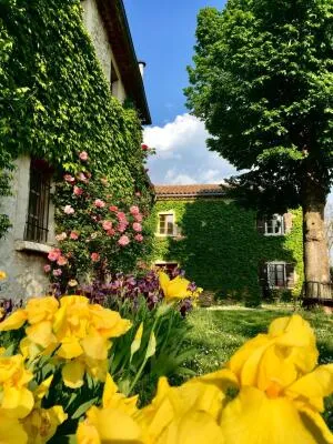 Business and/or Commercial Premises à Chabrillan — vignette 122