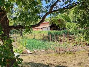 Agricultural Property à Concoules — vignette 2