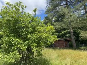 Terrain boisé de 1880m2 avec chalet en bois et ancien hangar ouvert