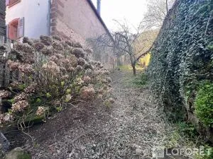 House à Mollkirch — vignette 9