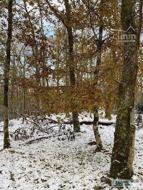 Terrain de Loisirs – Bois - Étang à Saint-Germain-de-Modéon — vignette 2