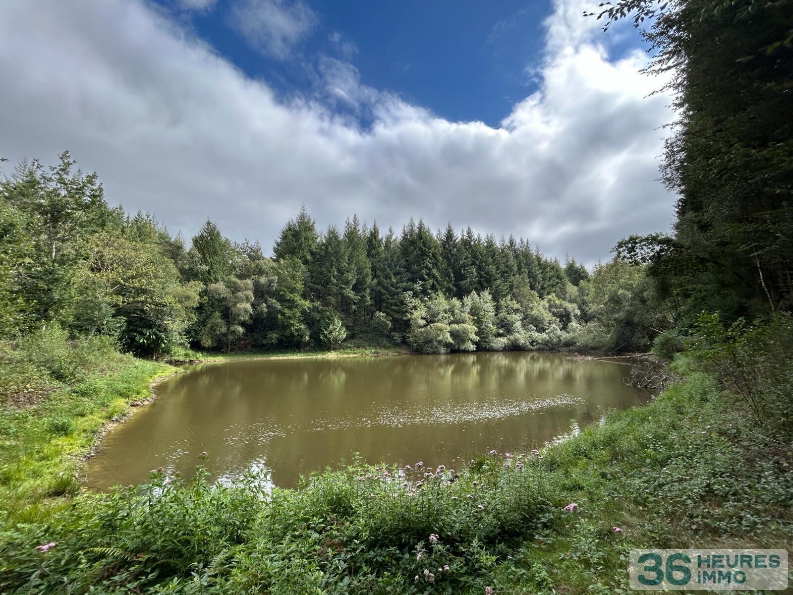 Terrain de Loisirs – Bois - Étang à Le Ménil-de-Briouze — vignette 4