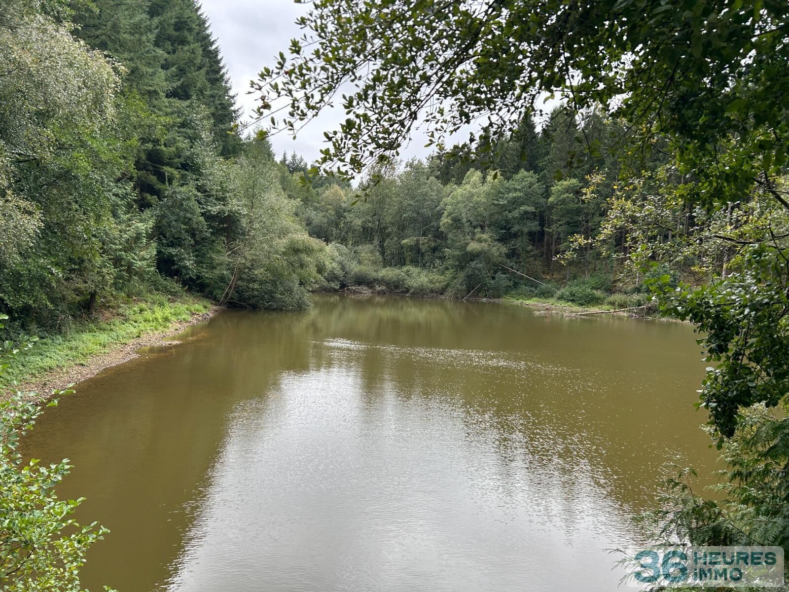 Terrain de Loisirs – Bois - Étang à Le Ménil-de-Briouze — vignette 5
