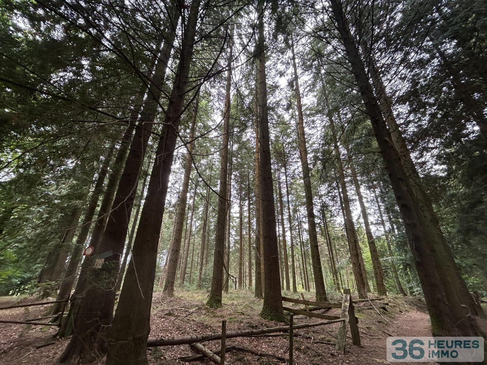 Terrain de Loisirs – Bois - Étang à Le Ménil-de-Briouze — vignette 6