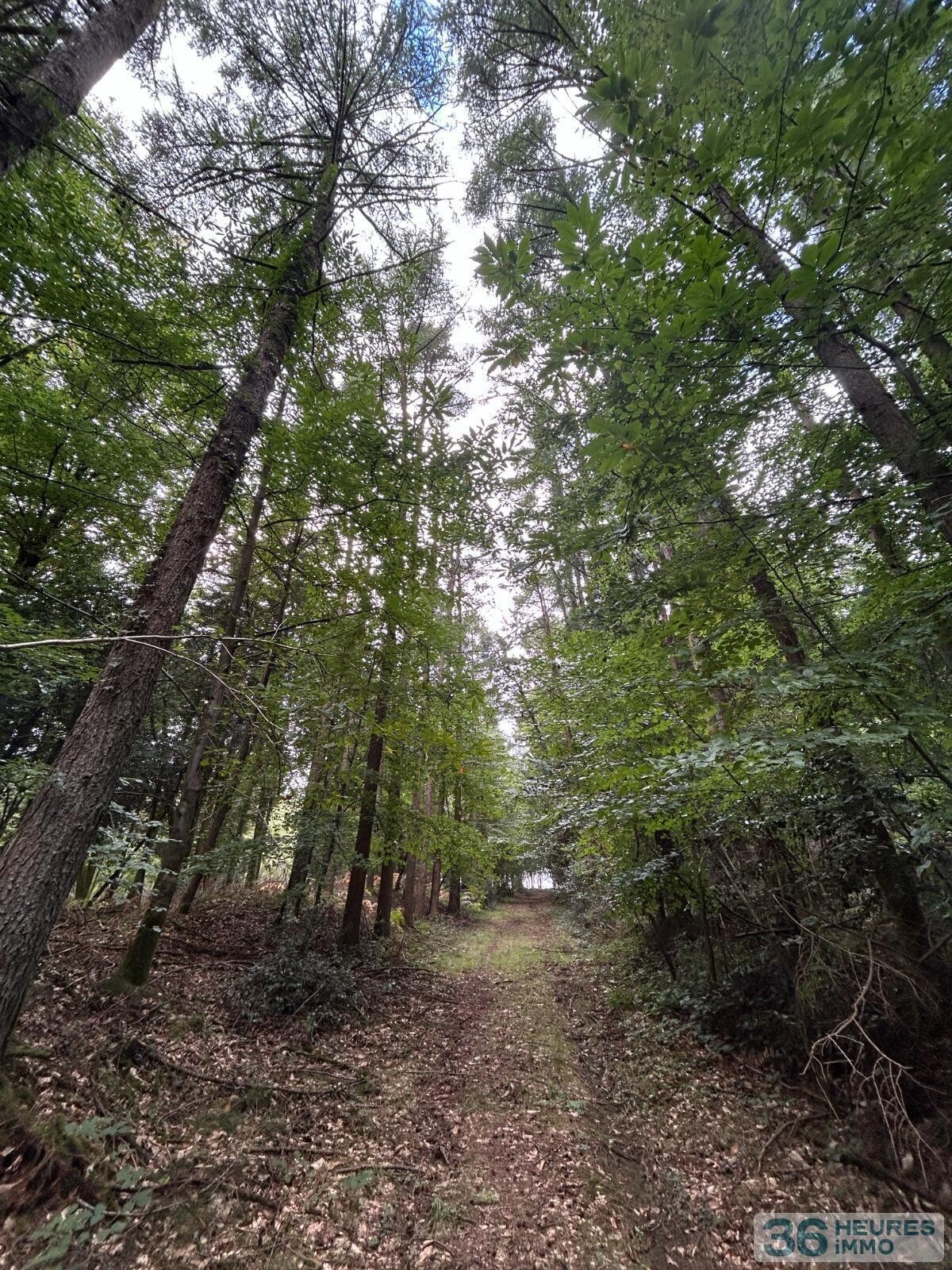 Terrain de Loisirs – Bois - Étang à Le Ménil-de-Briouze — vignette 9