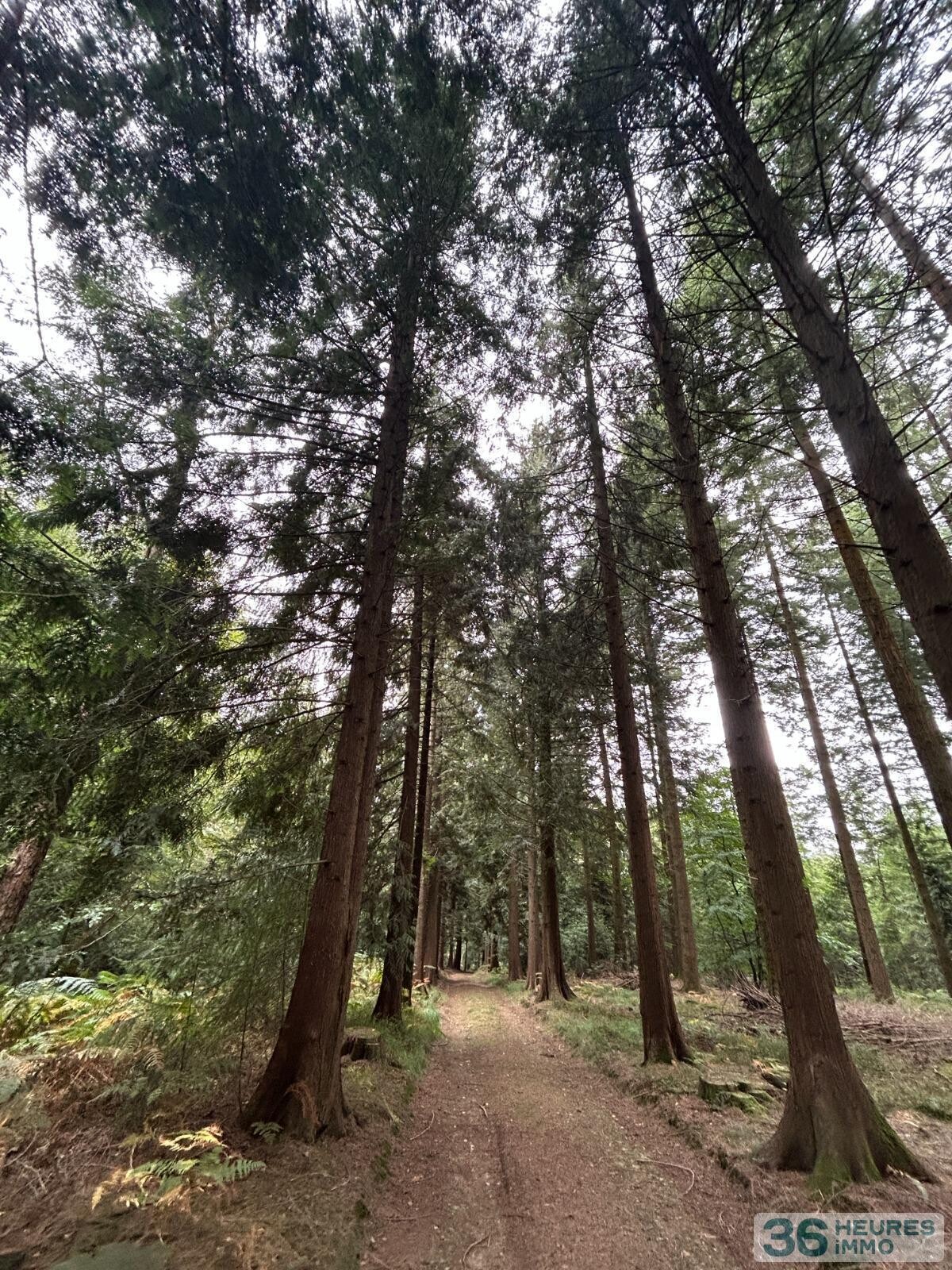 Terrain de Loisirs – Bois - Étang à Le Ménil-de-Briouze — vignette 12