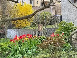 House à Strasbourg — vignette 20