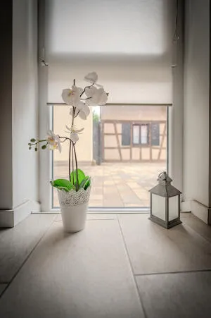 House à Quatzenheim — vignette 5