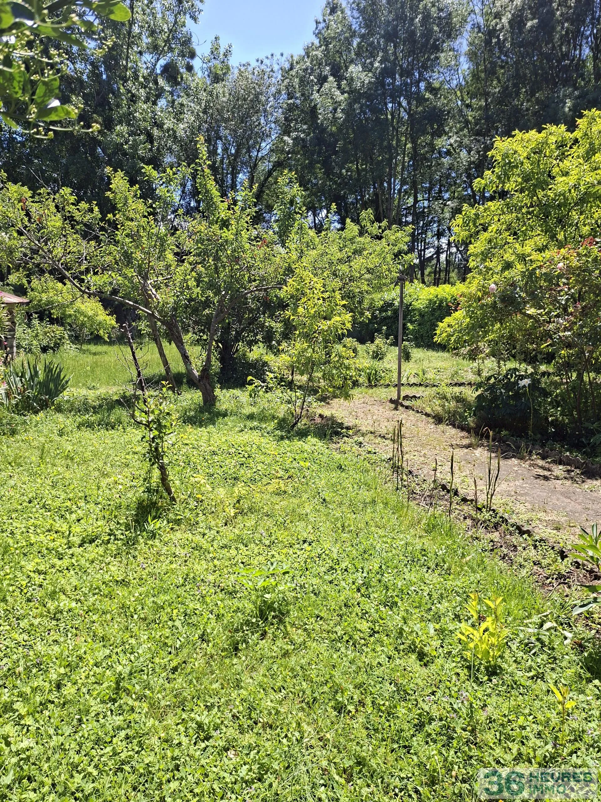 House à Coulaines — vignette 6
