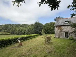 House à Rosporden — vignette 43