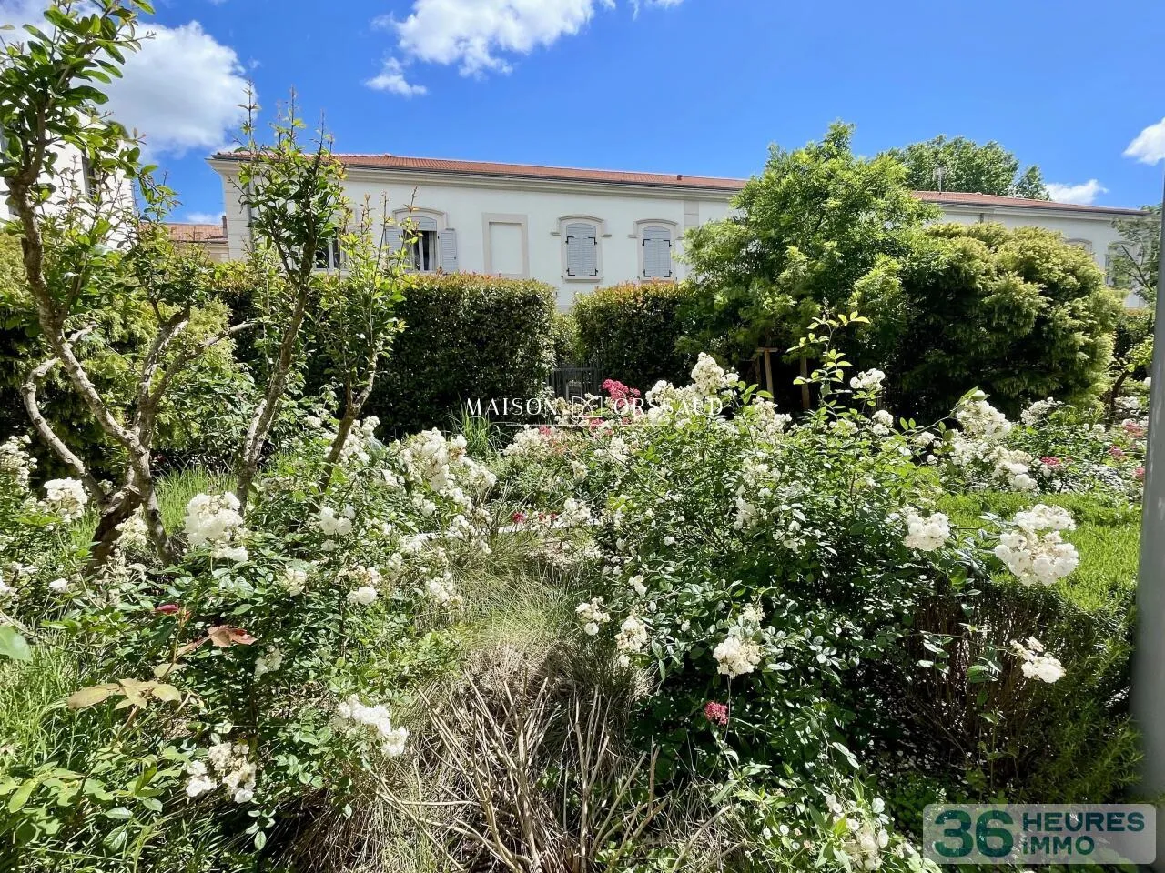 House à Montpellier