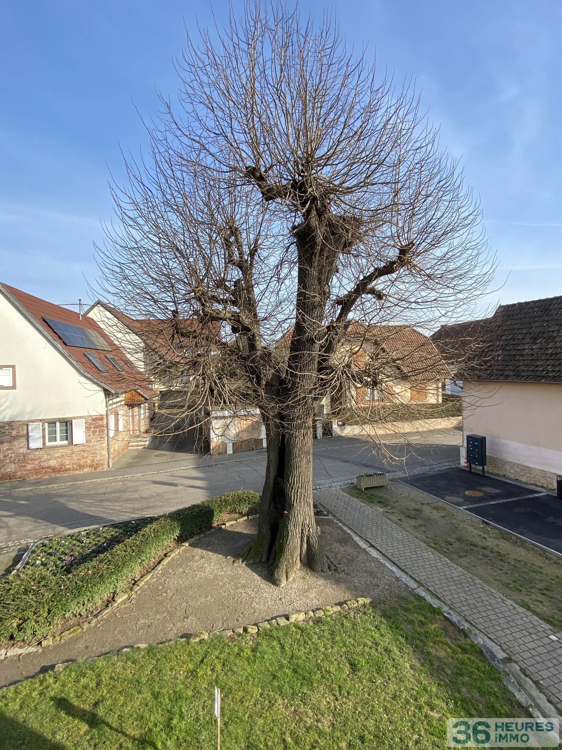 House à Krautergersheim — vignette 11