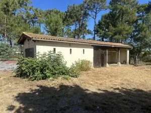 House à Vendays-Montalivet — vignette 2