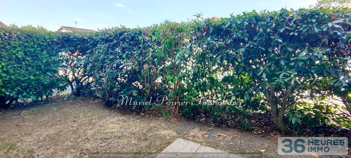 Apartment à La Salvetat-Saint-Gilles — vignette 11