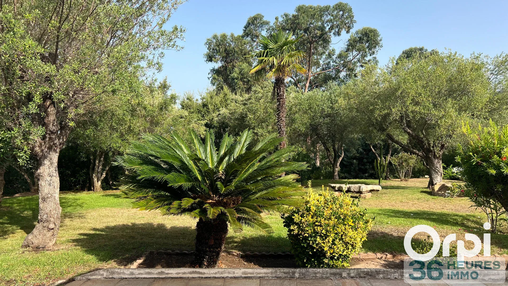 Estate à Zonza — vignette 15