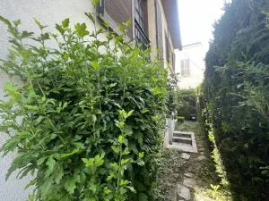 House à Vincennes — vignette 19