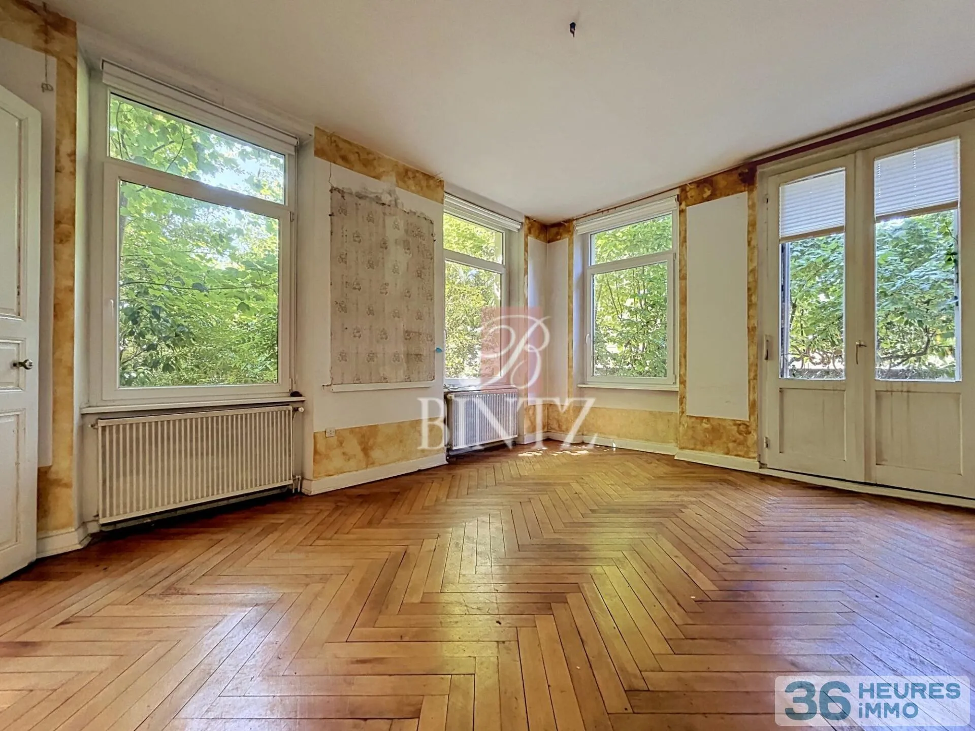 House à Strasbourg — vignette 15