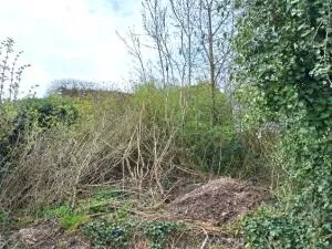 Building Plot à Vaux-sur-Somme — vignette 8