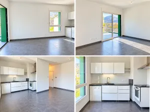 Apartment à Grenoble — vignette 9