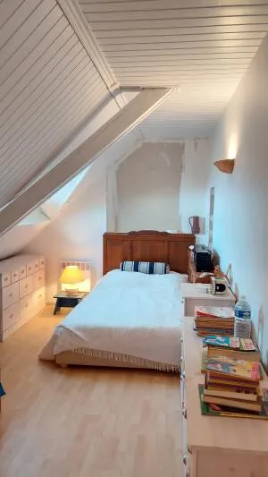 House à Mayet — vignette 30