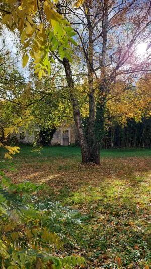 House à Mayet — vignette 9