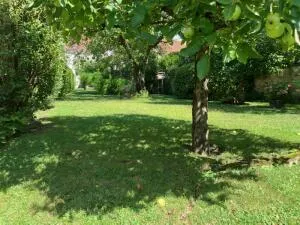House à Villeneuve-sur-Bellot — vignette 24