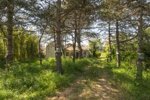 House à Fouras — vignette 23