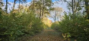 Propriété Forestière (Marne)