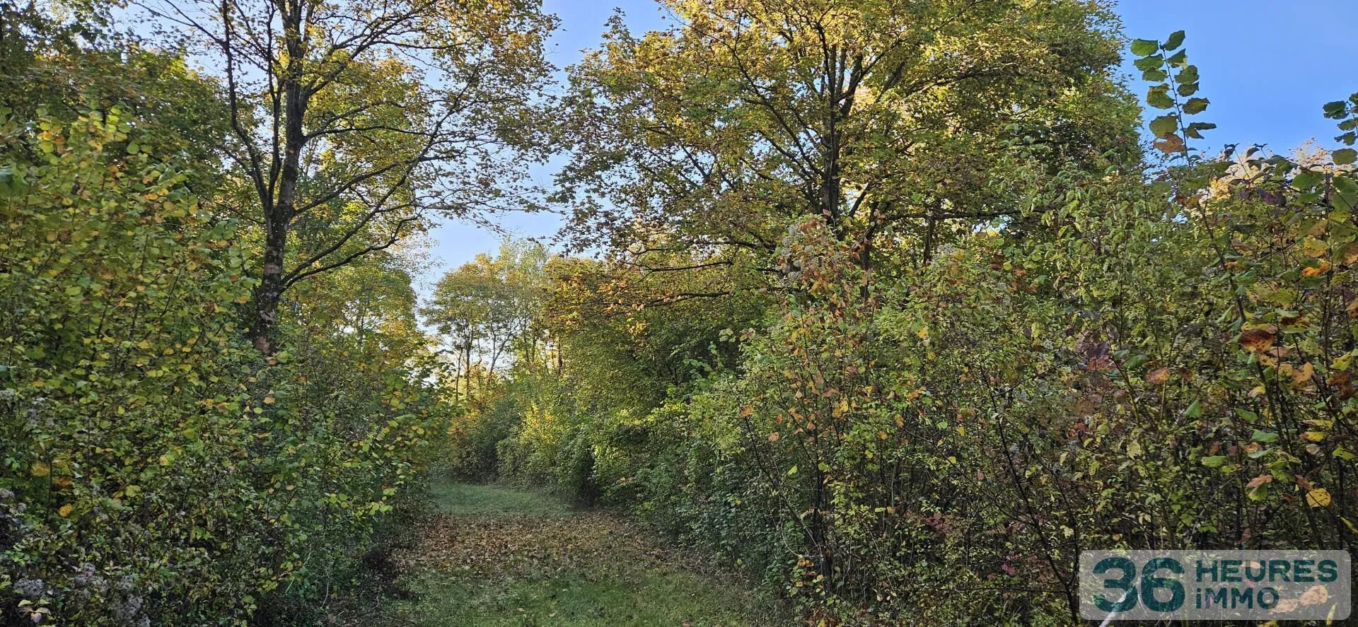 Estate à Beine-Nauroy — photo 3