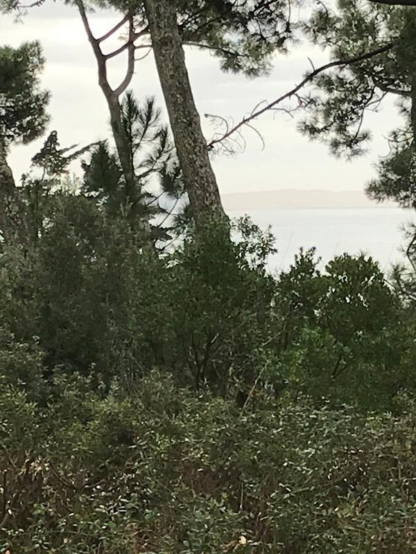 BASSIN d'ARCACHON - L'HERBE- CAP FERRET - VILLA VUE BASSIN