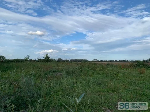 Terrain à Bâtir à Steenwerck