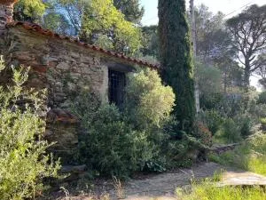 Ancien moulin à huile à renové Banyuls-sur-mer 