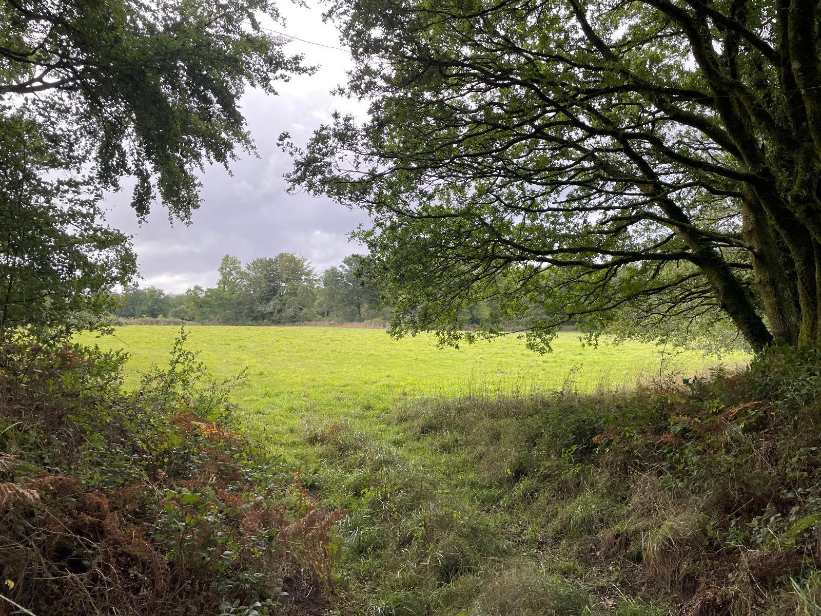 Terrain de Loisirs – Bois - Étang à Loqueffret — vignette 12