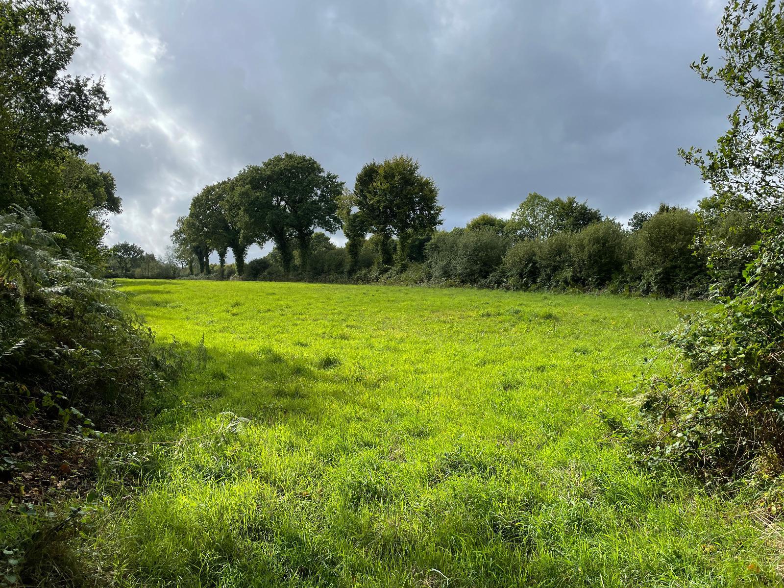 Terrain de Loisirs – Bois - Étang à Loqueffret — vignette 15