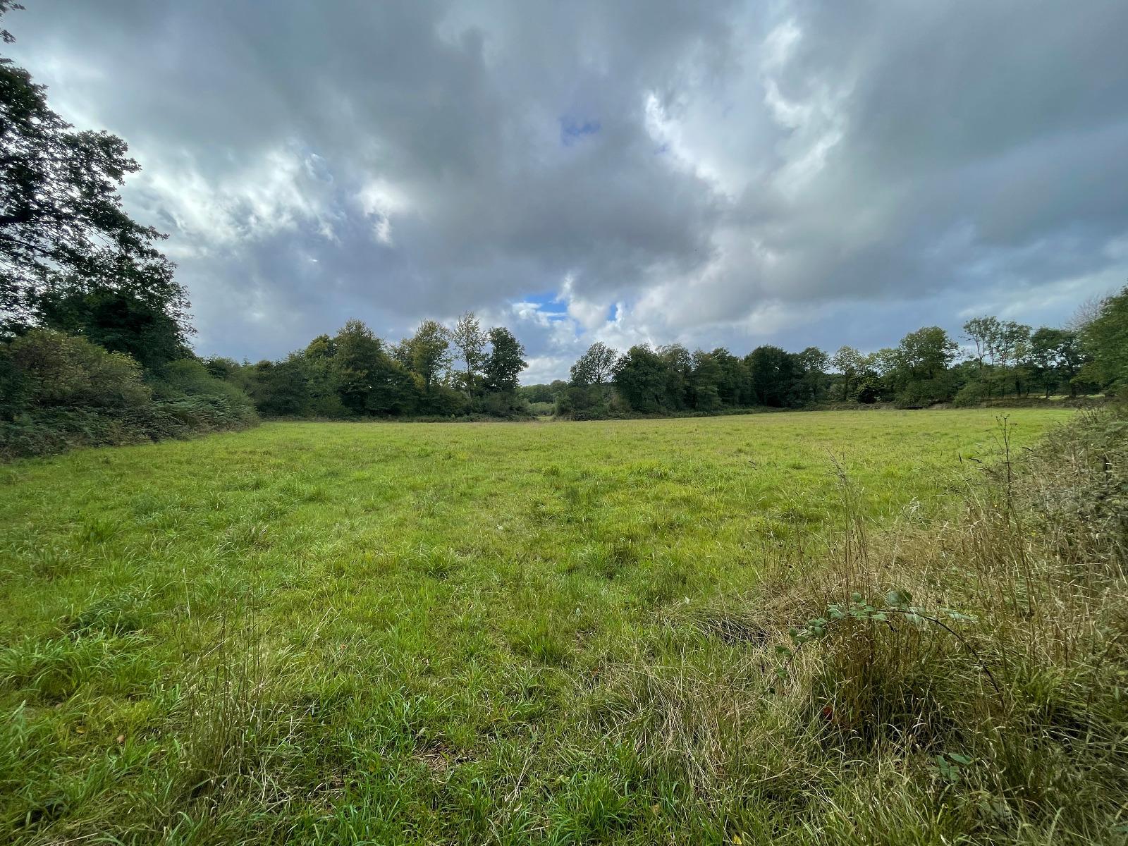 Terrain de Loisirs – Bois - Étang à Loqueffret — vignette 17
