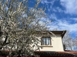 Maison à Colomiers — vignette 18