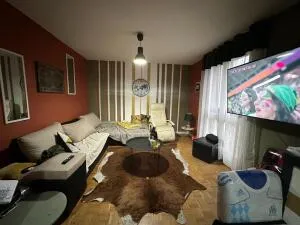 Appartement à Colomiers — vignette 2