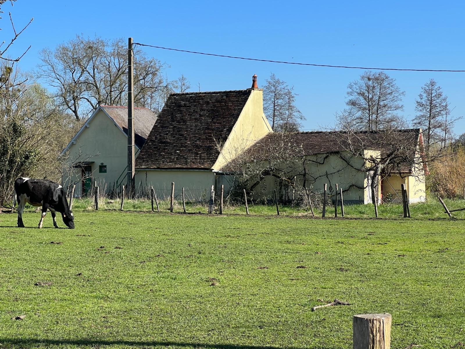 Maison à Arnage — vignette 6