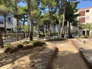 Appartement à Banyuls-sur-Mer — vignette 4